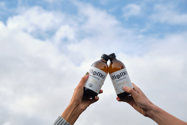 Limited Edition Hops Kombucha