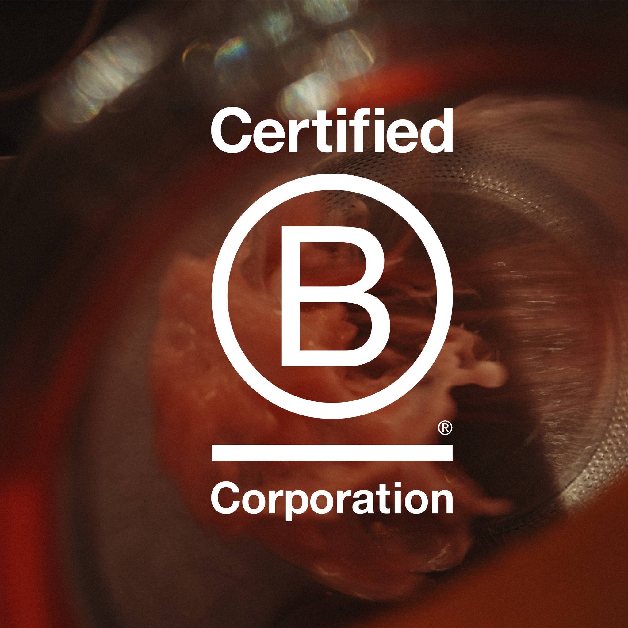 Why we're B Corp and what it means