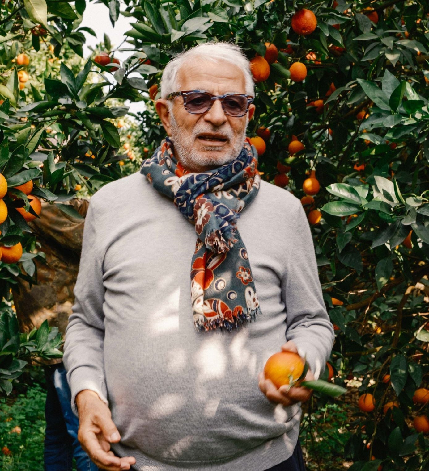 Inside Carmelo's Sicilian citrus groves