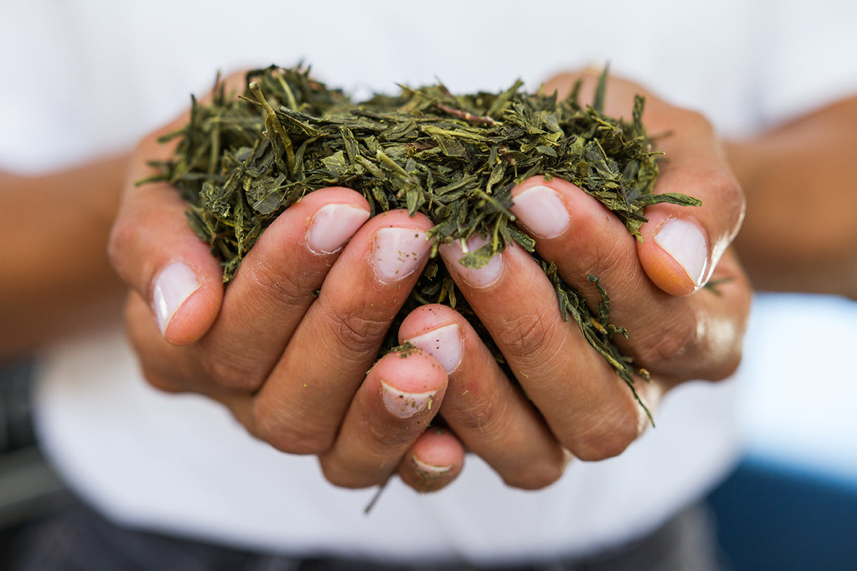Spotlight: Sourcing – Organic Ingredients - MOMO Kombucha