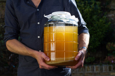 What is kombucha? - MOMO Kombucha