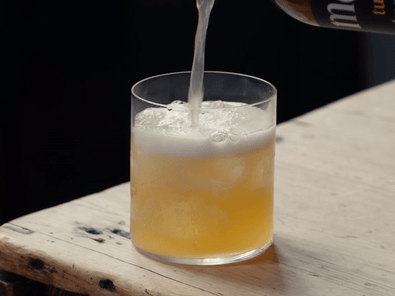 How to make Elderflower Kombucha… MOMO style