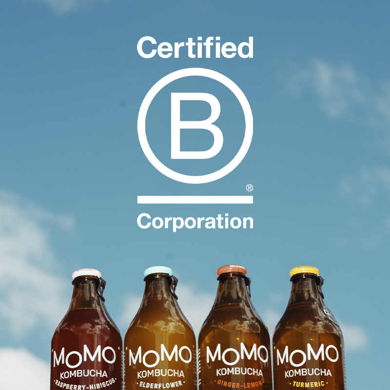 MOMO Kombucha B Corp