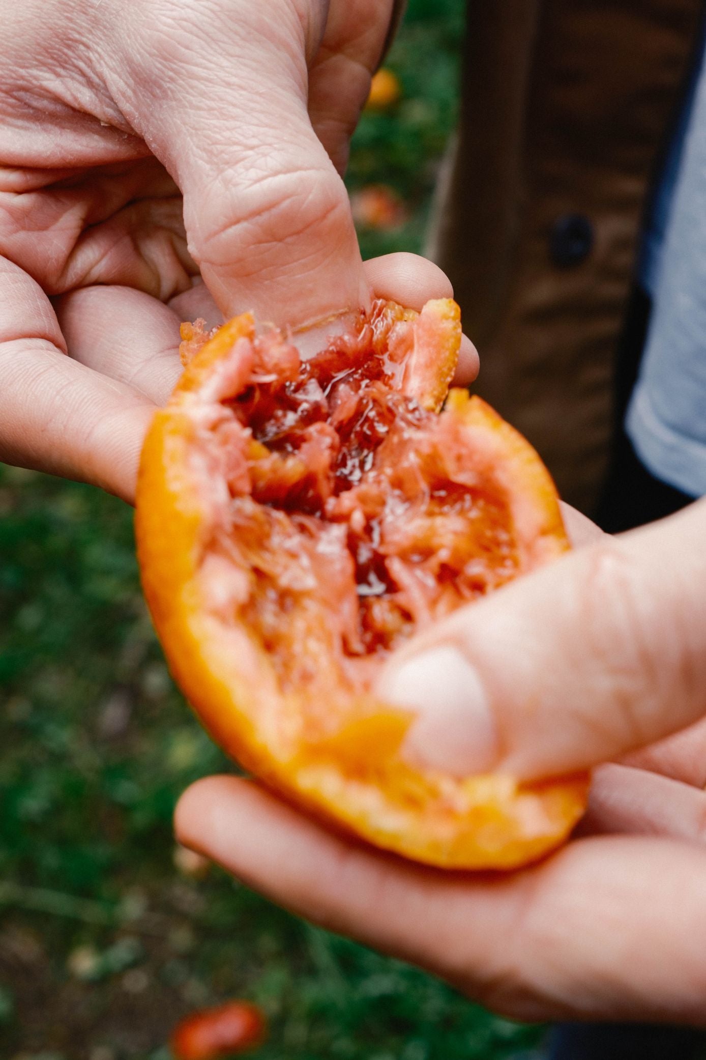 Carmelo_Blood_Orange_Sicily.jpg