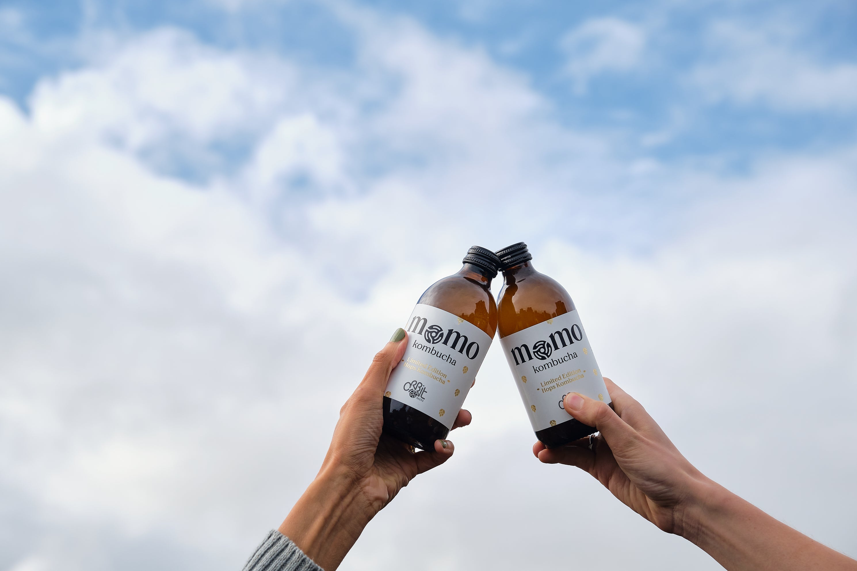 Limited Edition Hops Kombucha – MOMO Kombucha