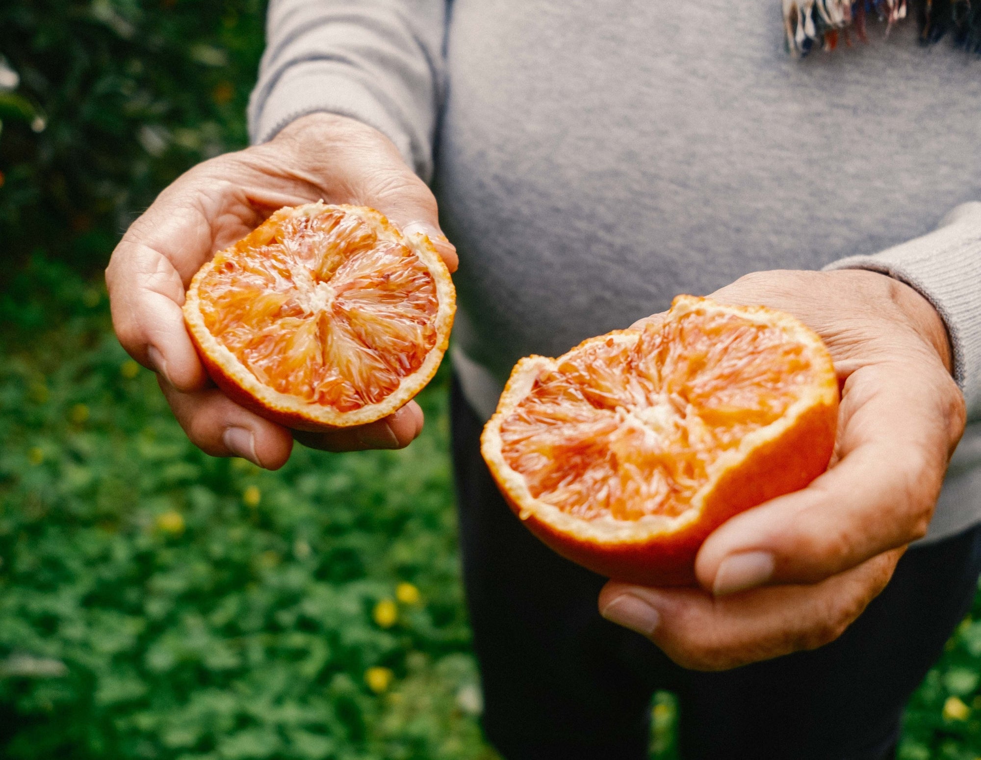 Carmelo holding two blood oranges