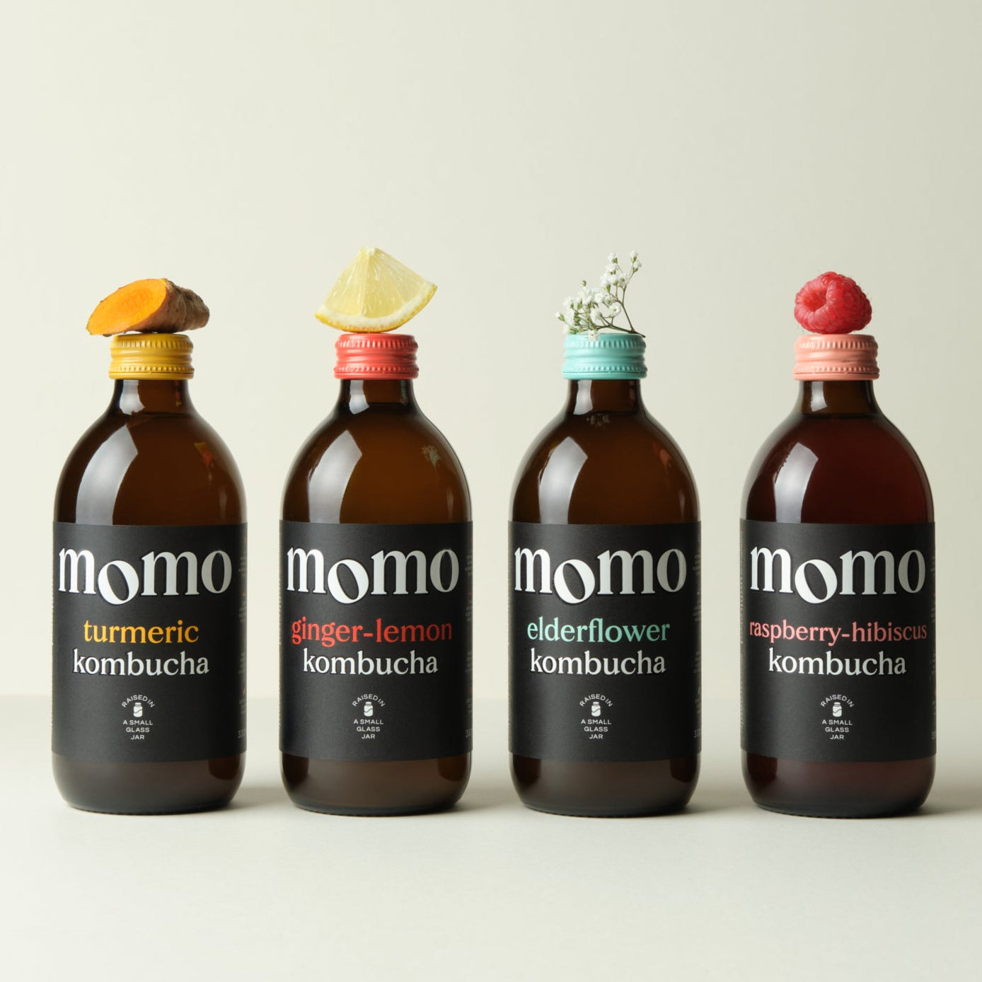 Mixed Case Kombucha | MOMO – MOMO Kombucha