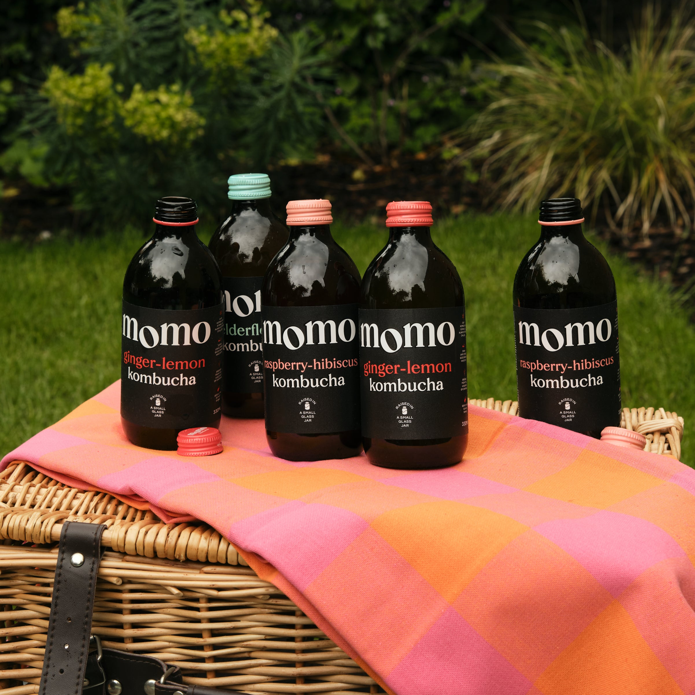 Momo_Kombucha_-_Summer_2024_-_036.png