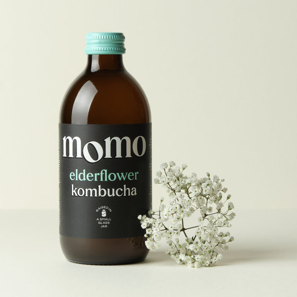 Organic Elderflower Kombucha by MOMO | Raw, Unfiltered