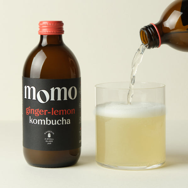 Organic Ginger-Lemon Kombucha by MOMO | Raw, Unfiltered