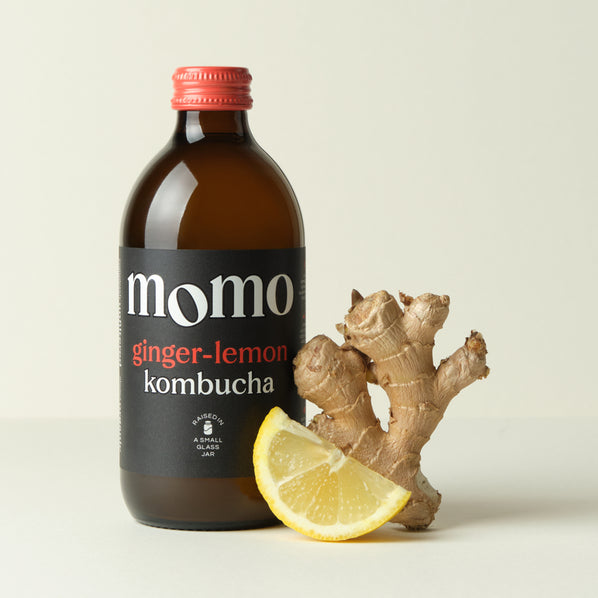 Organic Ginger-Lemon Kombucha by MOMO | Raw, Unfiltered