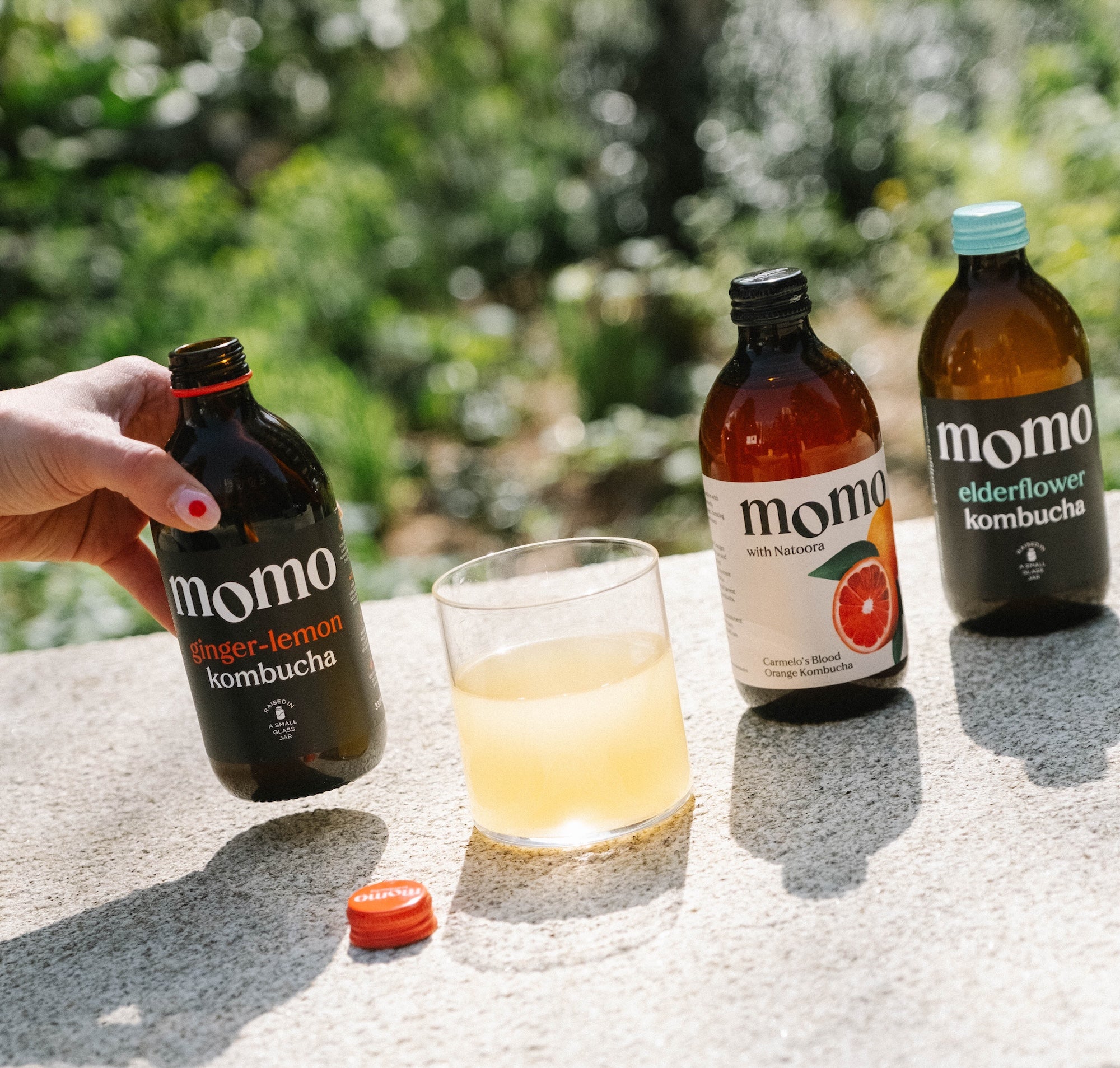 MOMO Kombucha