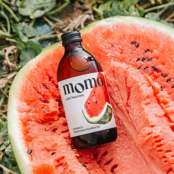 Zerbinati's Watermelon Kombucha