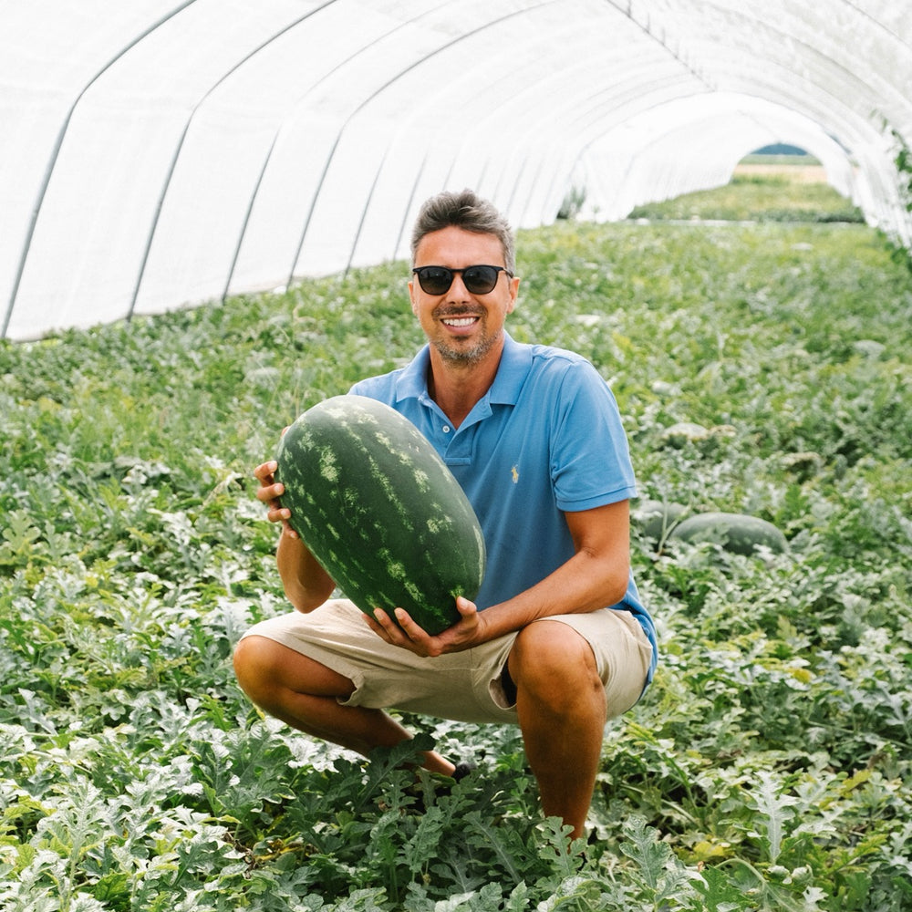 Zerbinati's Watermelon Kombucha