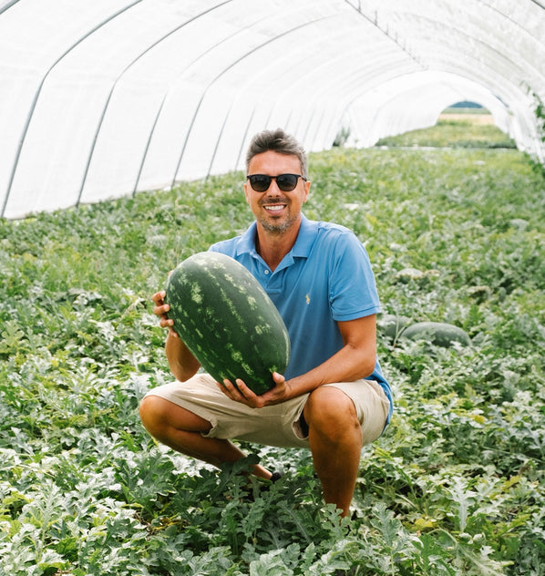 Zerbinati's Watermelon Kombucha